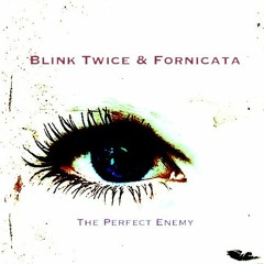 Blink Twice & Fornicata - The Perfect Enemy