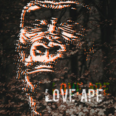 Mix of the Week #259: Love Ape - A Day In The Woods