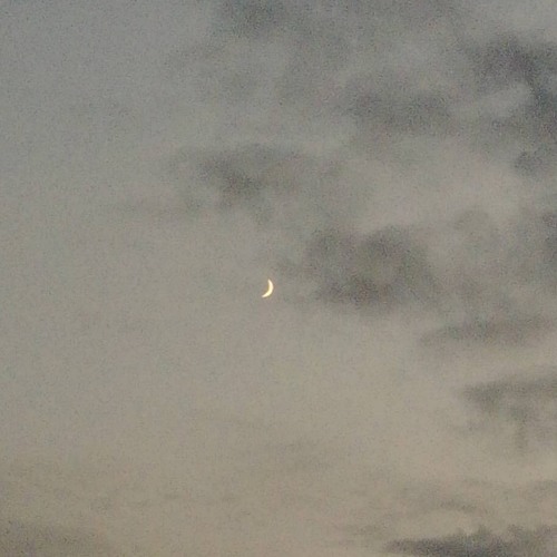 Ebrahel Lurci - Still The Moon Tugs Upon Her Tides