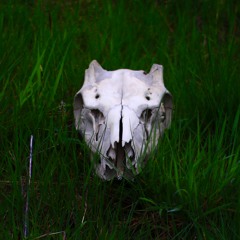 Disruption Of Thought