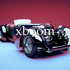 TINTED WINDOES - XBOOM