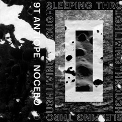 9T Antiope, 'The Whole Ocean Floods In - The Whole Room Pours Out' (2019). Courtesy PTP Recordings.
