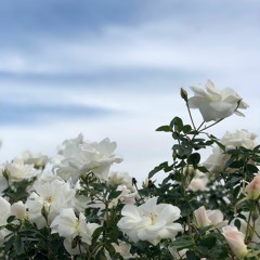 BEST PART (feat. Abel.) [cover]