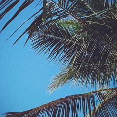 Tropicality [001]
