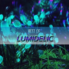 Best Of Lumidelic mixed by Lumidelic