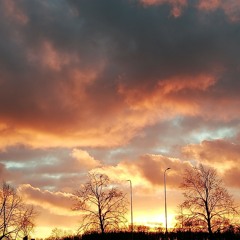 Jumala jõgi, autor Timo Lige