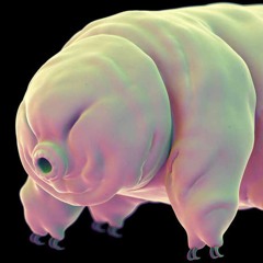 ⎅⟟⌇☊⍜⋔⎎⍜⍀⏁