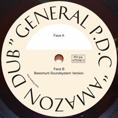 NB002 - General P.D.C / Beesmunt Soundsystem - Amazon Dub 10"