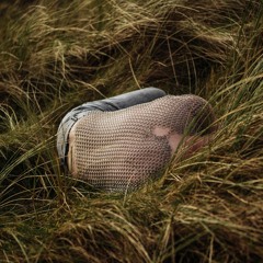 Concubine [feat. Elephant]