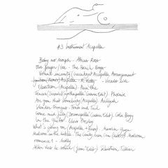 #3 INSTRUMENT ACAPELLA