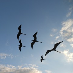 Travel - Acoustic inspirational background music.