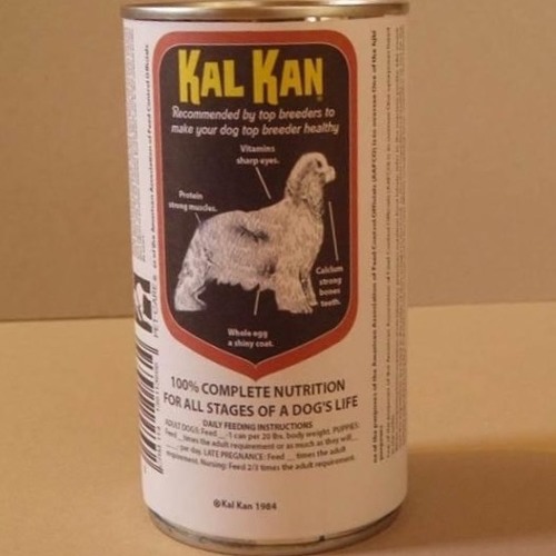 Kalkan dog 2025