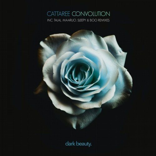 PREMIERE: Cattaree — Convolution (Talal Remix) [Dark Beauty]