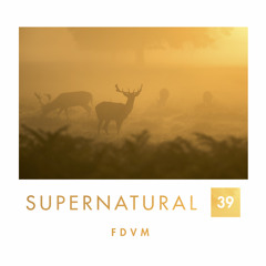 Supernatural 39 by FDVM