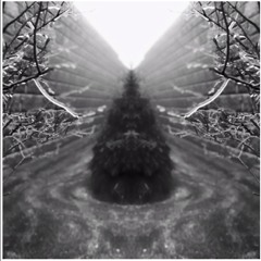 Heavens Gate(oasis) (prod. Syndrome)