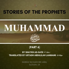 6 - Biography of Prophet Muhammad ﷺ  (Stories of the Prophets 29)