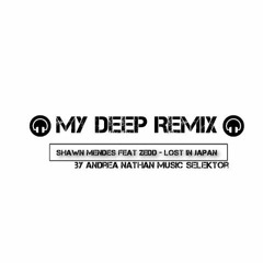 My Deep Remix - Shawn Mendes Feat Zedd - Lost In Japan