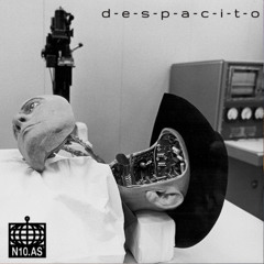 DESPACITO w/ Amelia Holt on N10.AS Radio 02.10.19