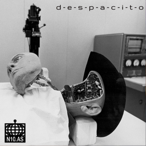 DESPACITO w/ Amelia Holt on N10.AS Radio 02.10.19