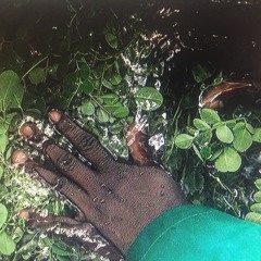 A Prayer In The Night