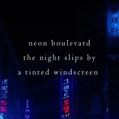 The Night Slips By (Naviarhaiku266)