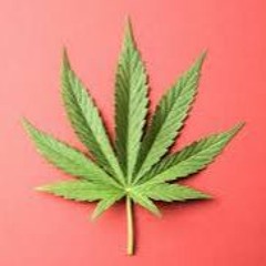 My own Summer (deftones cover)