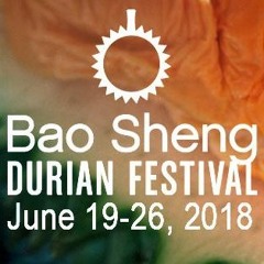 Ecstatic Dance | Bao Sheng Durian Festival 2018 | Penang, Malaysia