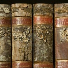 3 - $-TIME - ATTENTION (SHINE - GLAMOUR - GLITZ'N)