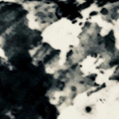 Horse to Water (Cover)