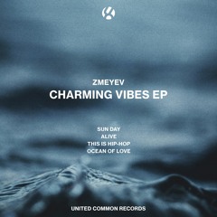 Zmeyev - Charming Vibes