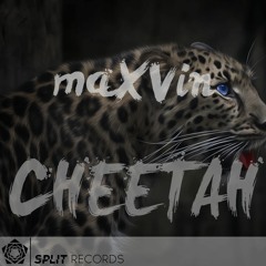 maXVin - Cheetah (Original Mix)