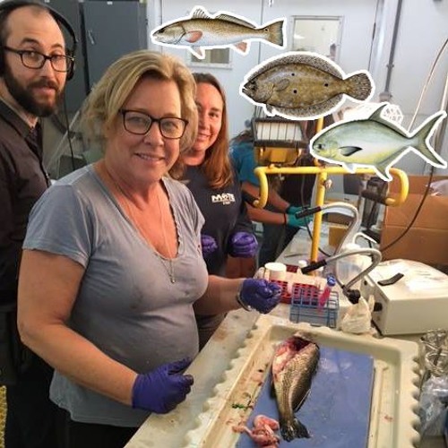 The Risks for Fish-Episode 10