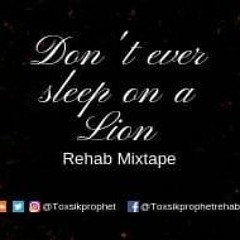 Don't ever sleep on a Lion Mixtape