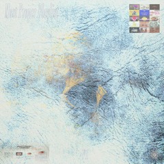 Most Proper Playlist V1
