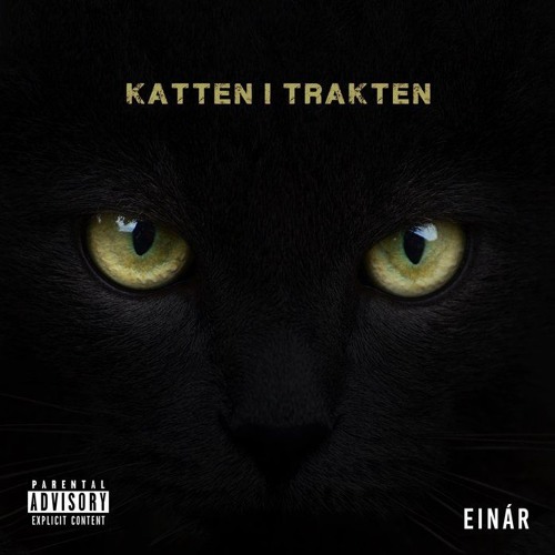 Stream EINÁR - KATTEN I TRAKTEN (INSTRUMENTAL BEAT) by Montesorri Beats™ |  Listen online for free on SoundCloud