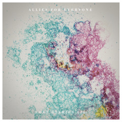Premiere: Allies For Everyone - Our Tar [Lost Diaries]