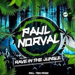 Paul Norval - Rave In The Jungle (Sparkos Remix)