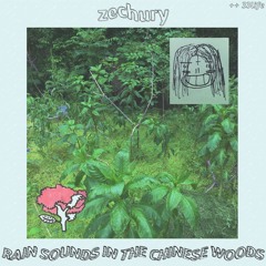 rain sounds in the chinese woods (++ 33life)