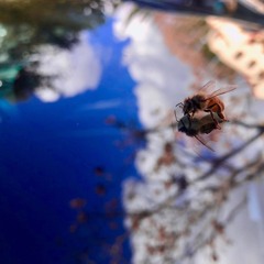 missing one required positional argument: 'self'