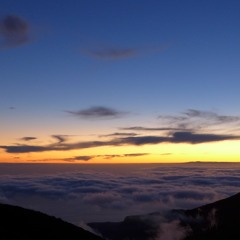 Ambientum Quadrifolia Set