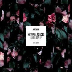Natural Forces - Bloodline - Dispatch LTD 062 (CLIP) - OUT NOW