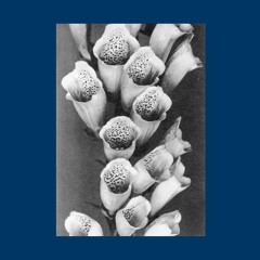 PREMIERE : La Stèle Des Pleurs - Barcelone