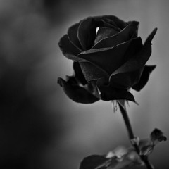 Why Would I? (prod. Josh Petruccio)