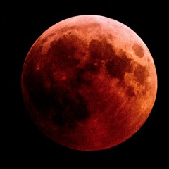 lunar eclipse @ moontribe january 2k19