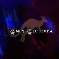 Only Techouse (Original Mix)