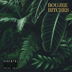 Boujee Bitches(Sleep Walkin Remix)- Seth (ft.jayy)