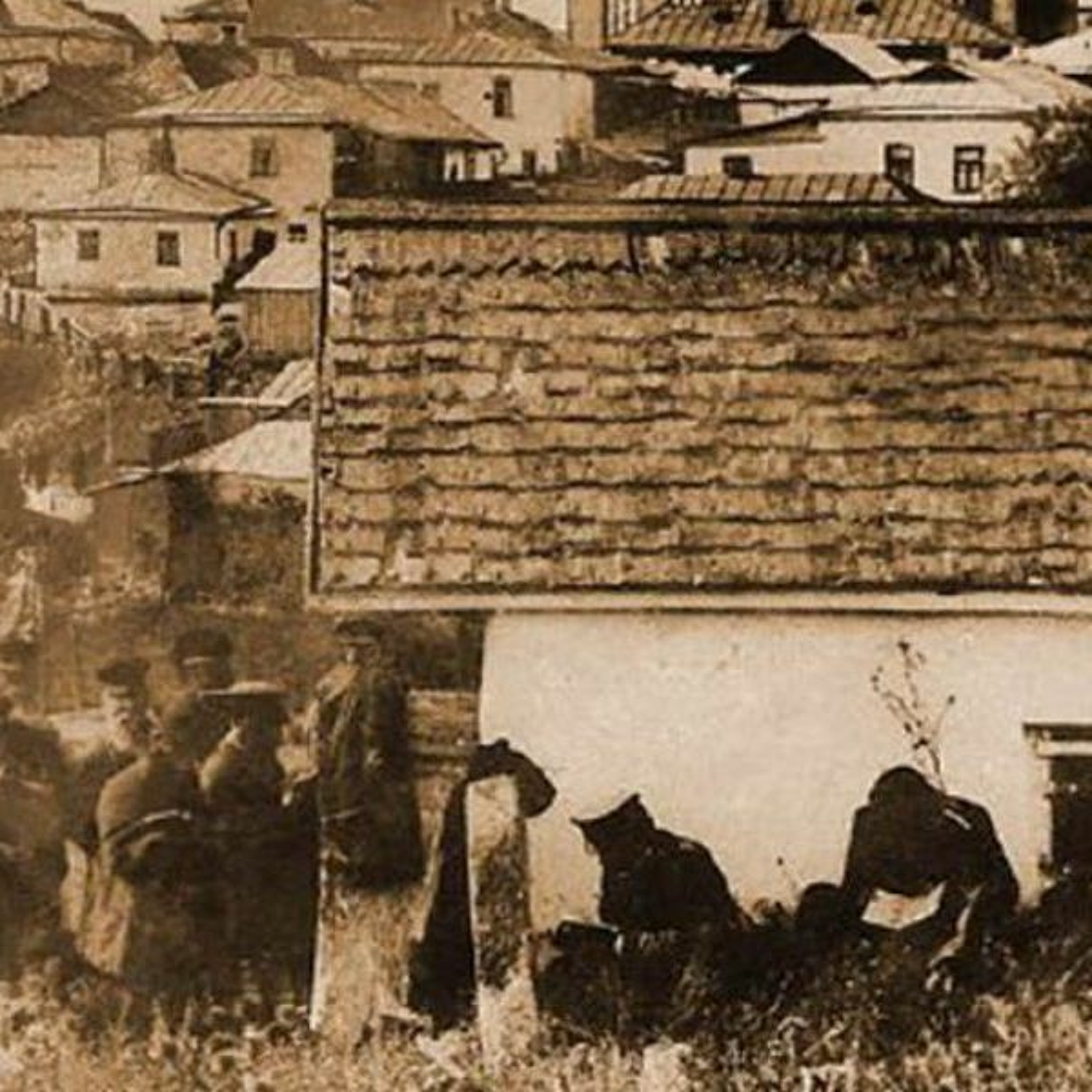 Shuaros (Talks, Classes, Shiurim)