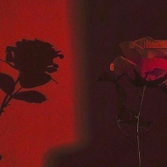 SHADOW (PROD. TRAIN MANE 🚂🔥)