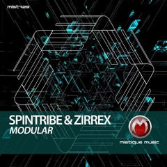 SPINTRIBE&ZIRREX - MODULAR