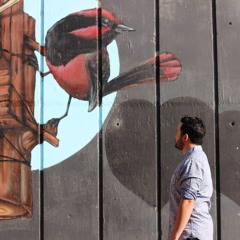 Riptide - Vance Joy - Acoustic Cover - NANO RAW Recordings